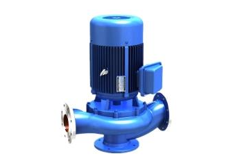 GW Sewage Pump