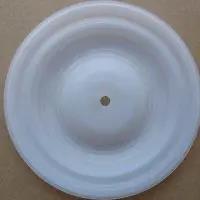 01-1010-55 Diaphragm PTFE