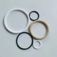 02-1372-51 O-Ring Fit Wilden Pumps Parts