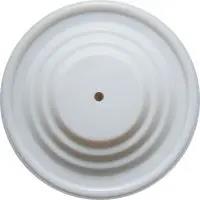 108839 Graco Diaphragm PTFE Husky515/716