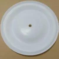 15K312 Graco Diaphragm PTFE