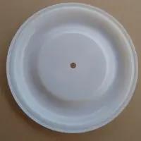 15K313 Graco Diaphragm PTFE