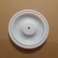 04-1010-55 Wilden PTFE diaphragm