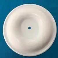 V305TF Versa-Matic Diaphragm PTFE